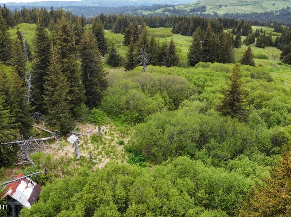 40170 Talley St, Homer, AK 99603