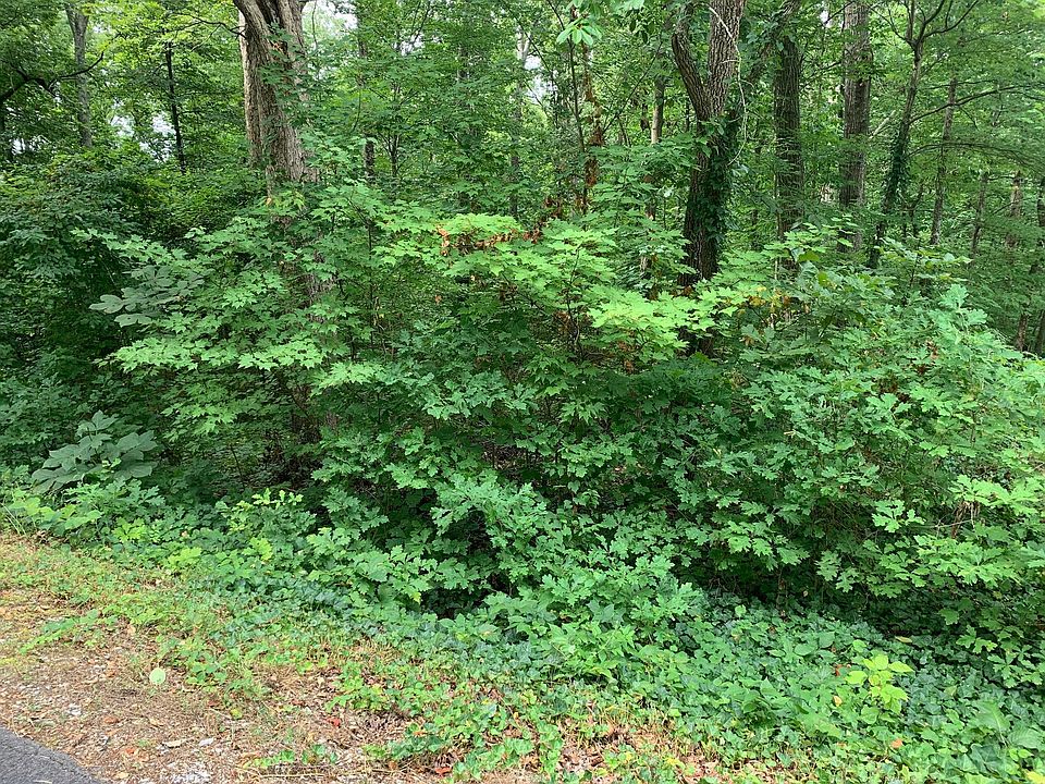 2nd image of 124 Kawatuska Way Lot 9