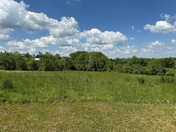 000 Blackberry Court Court, Cassville, MO 65625