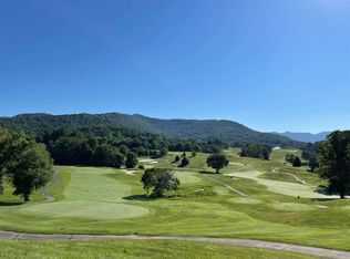 46 Hawtree Ct, Weaverville, NC 28787