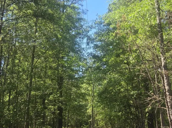 415 Pearson Rd, Sumter, SC 29150