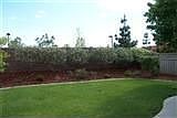 4th image of 4809 Winter Haven Way