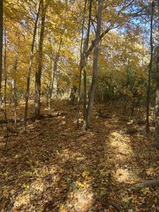 Lt24 OAK RIDGE COURT, Elkhorn, WI, 53121