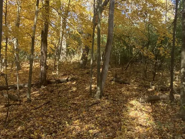 Lt24 OAK RIDGE COURT, Elkhorn, WI 53121