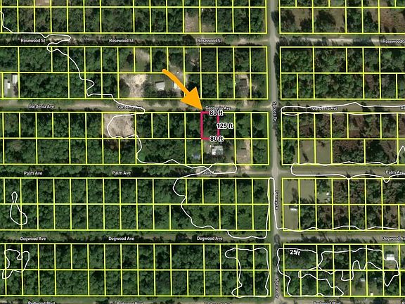 5th image of 433 Gardenia Ave