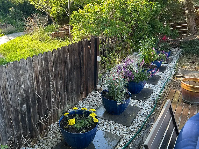 708 E Baseline Rd — Photo 17