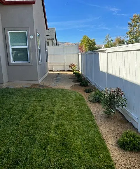 Backyard view
