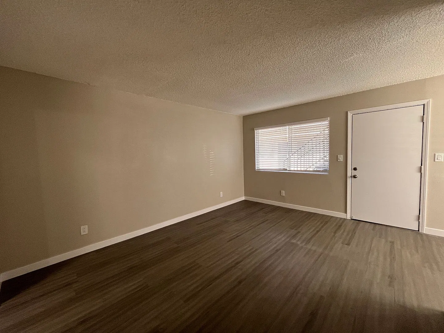 0033 BERRO ASSETS BUILDING — Photo 4