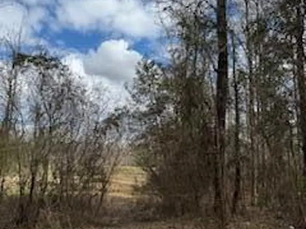 0 Wildcat Rd, Collinsville, MS 39325