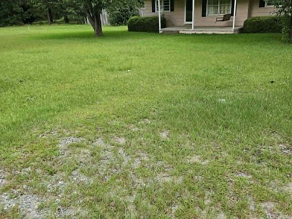 2nd image of 168 Lakeview Church Rd