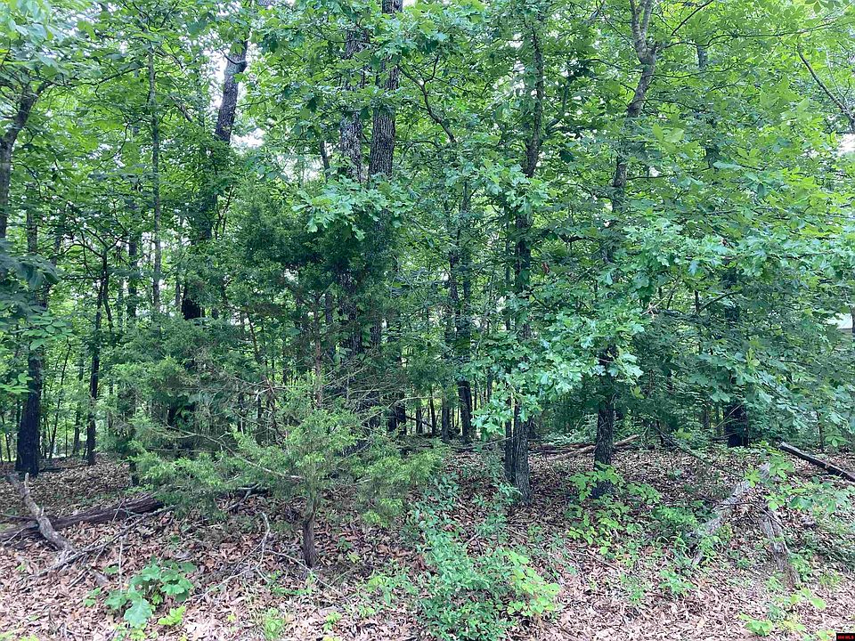 76011038000 Shorecrest Dr, Bull Shoals, AR 72619 MLS 126482 Zillow