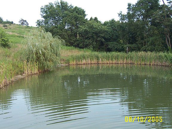 Stocked pond