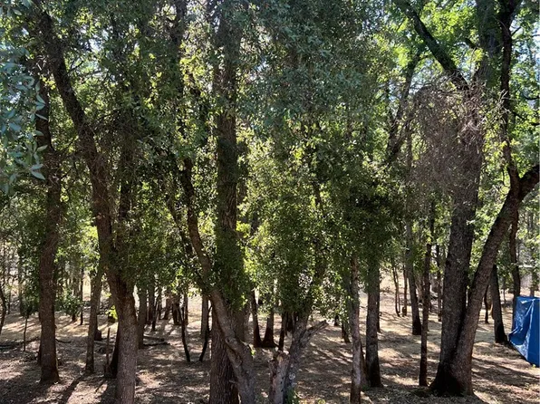 5723 Inca Way, Kelseyville, CA 95451