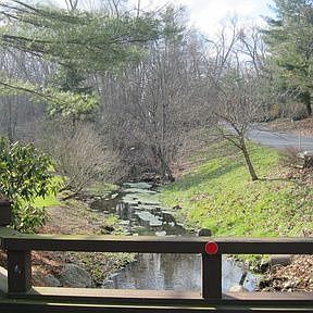 5th image of 24 Mallard Dr
