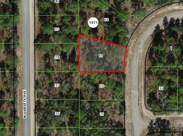 1947 W Skyline Dr Lot 19, Dunnellon, FL 34434