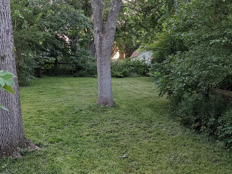 Large fenced yard.