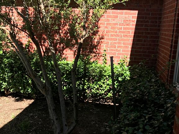 5th image of 115 Bowie Ln