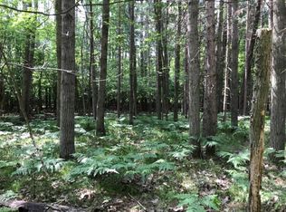 12359 Sundance Dr, Stanwood, MI 49346