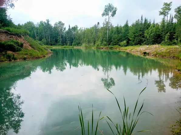 Sugar River Rd, Gladwin, MI 48624