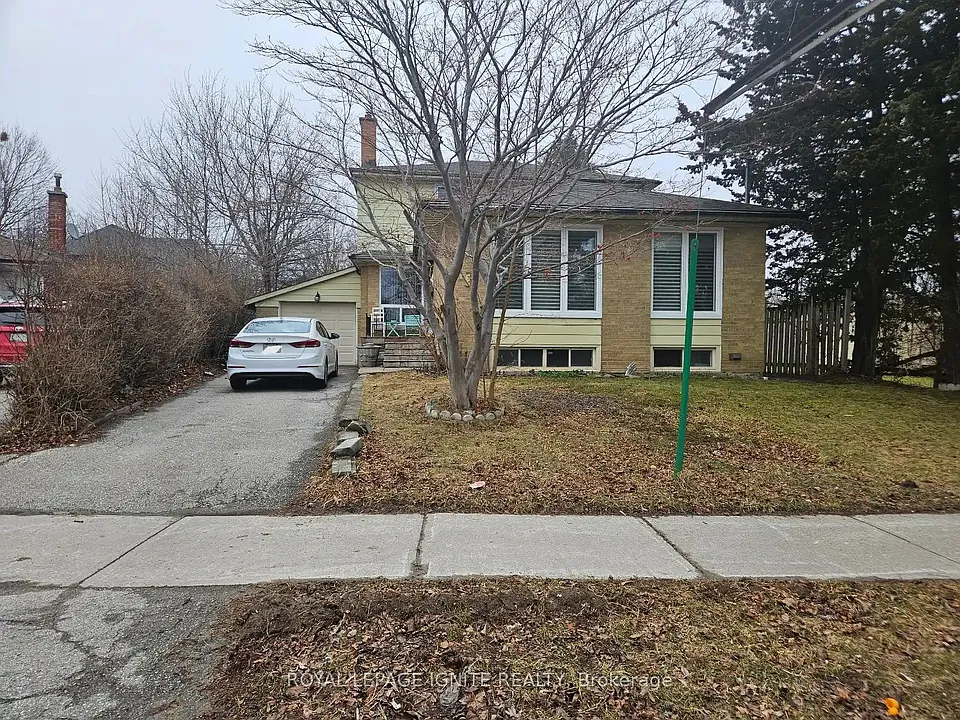 31 Benfrisco Cres #BSMNT