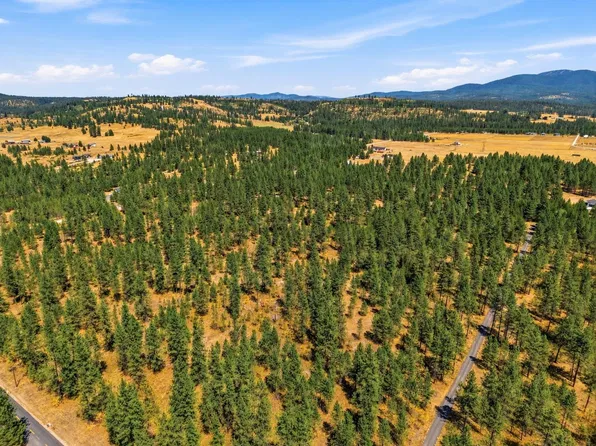 0 E Owens Rd, Chattaroy, WA 99003