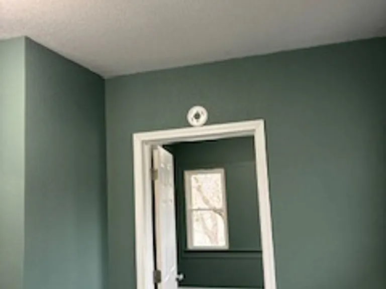 303 Franklin St #2 — Photo 3