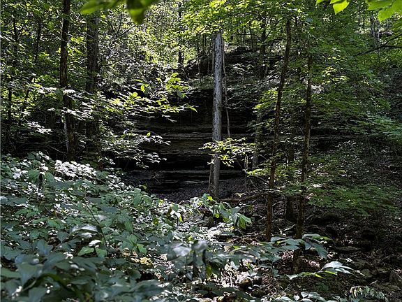 5th image of W Devils Den Rd