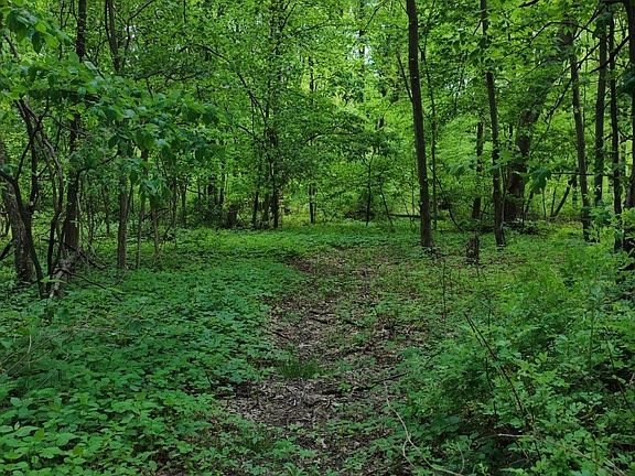 5th image of 1235 Township Road 353