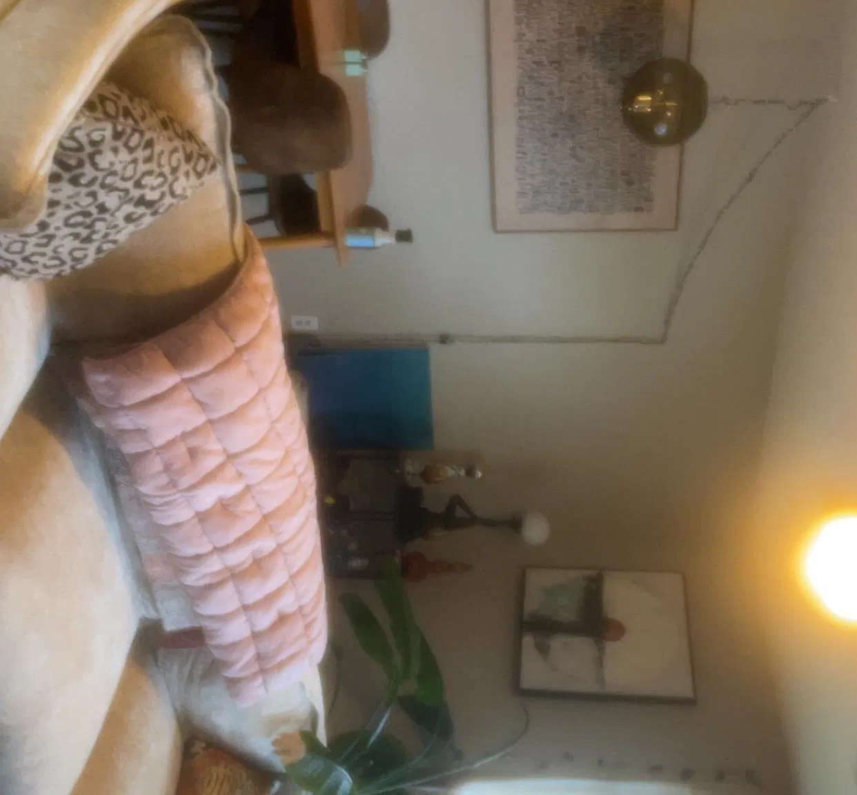 2 bed, $950 — Photo 4