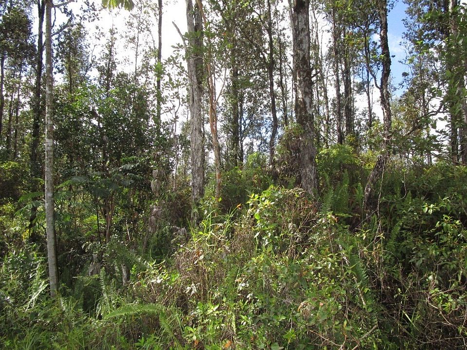 1st image of Poouli Road Rd #10-lot 5661