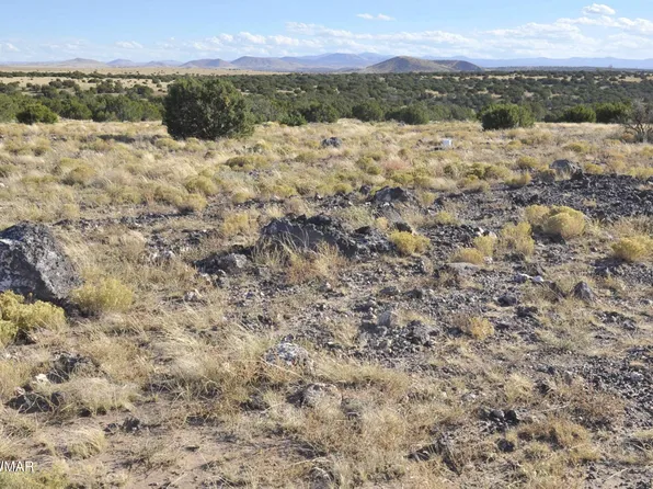 8Z Concho Creek Dr, Concho, AZ 85924