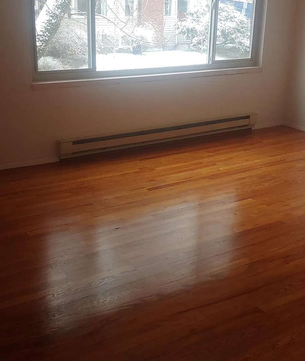 1 bed, 550 sqft, $1,400 — Photo 3
