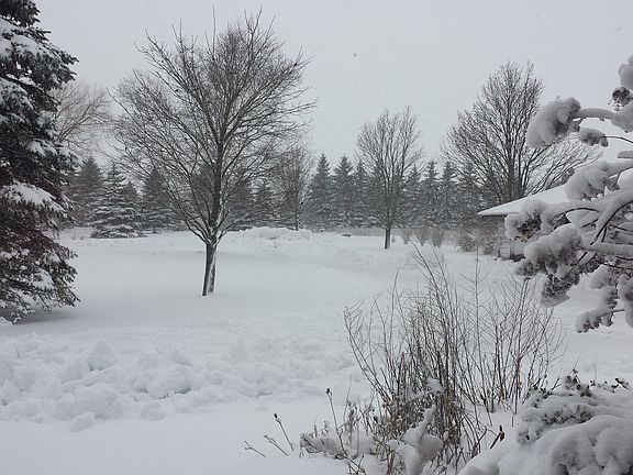 winter scene front yard