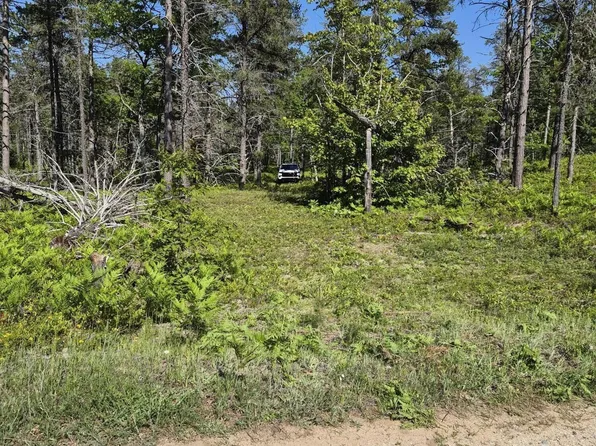 Andrus N Whitefish Point Rd, Paradise, MI 49768