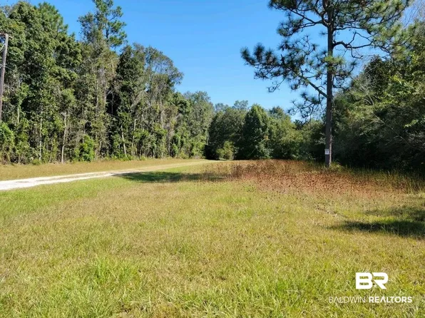 10475 Padgett Switch Rd, Irvington, AL 36544