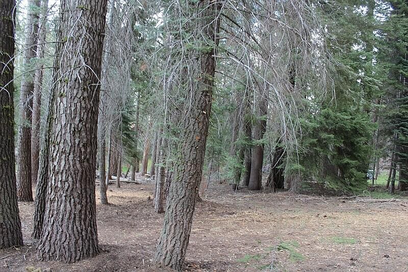 1st image of 57413 Ponderosa Dr