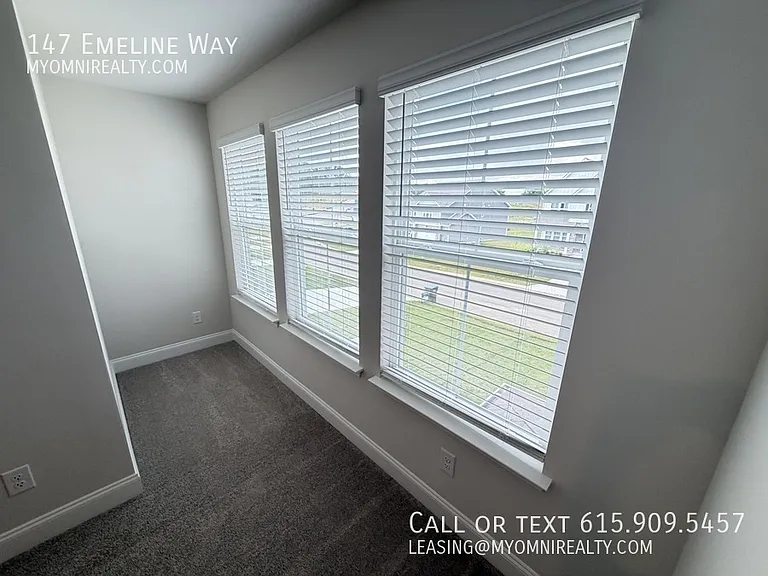 147 Emeline Way — Photo 19