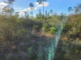 0 NW Highway 167 County Road 167, Fountain, FL 32438