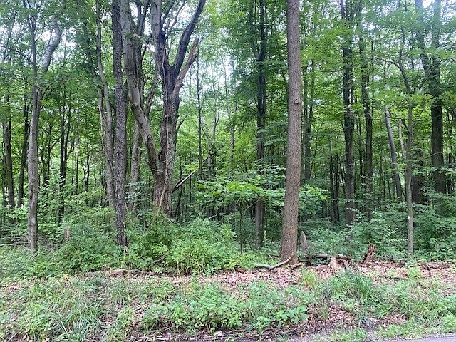 2nd image of 0 Prospect Woodlands Rd