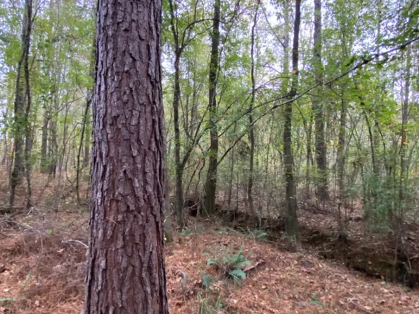 0 Highway 49, Columbiana, AL 35051