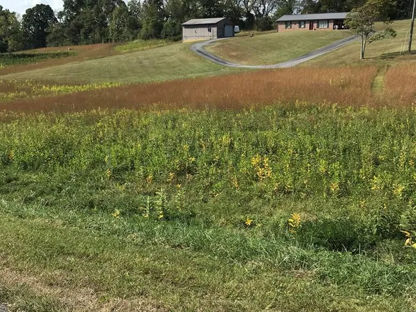 LOT 30 Chestnutwood Dr, Chilhowie, VA 24319