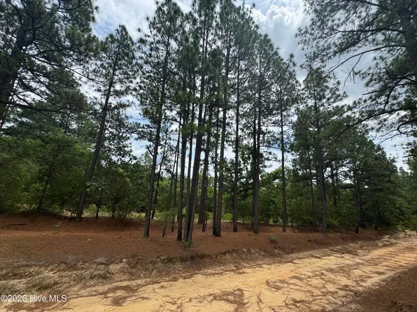 000 Lizzie Jeter Lane, Cameron, NC 28326