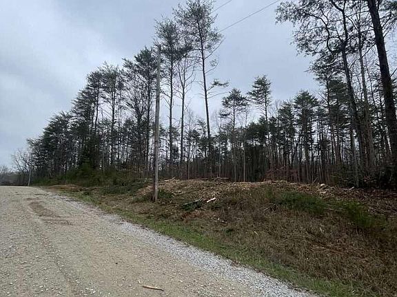 3rd image of 141 Pine Tree Cir