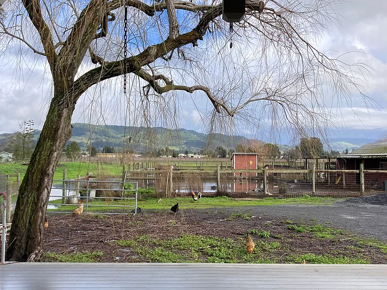 View of the barnyard and Taylor Mountain from the LR window.