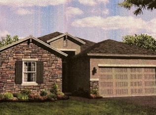 8325 Auburn Rise Ct, Land O Lakes, FL 34638