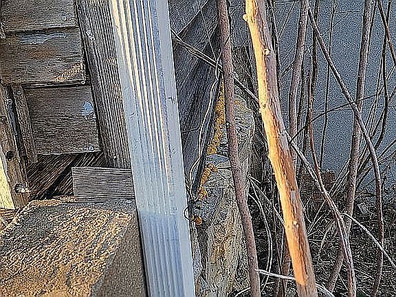 4th image of 203 N 2nd St