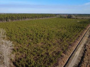 0 Bay Catfish Rd, Latta, SC 29565