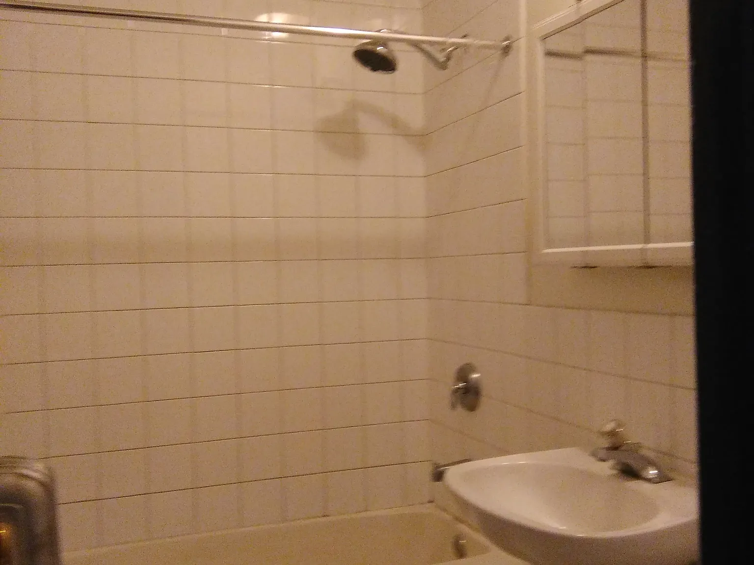 1 bed, 730 sqft, $1,800 — Photo 3