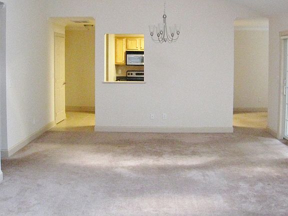 Tons of Natural Light!