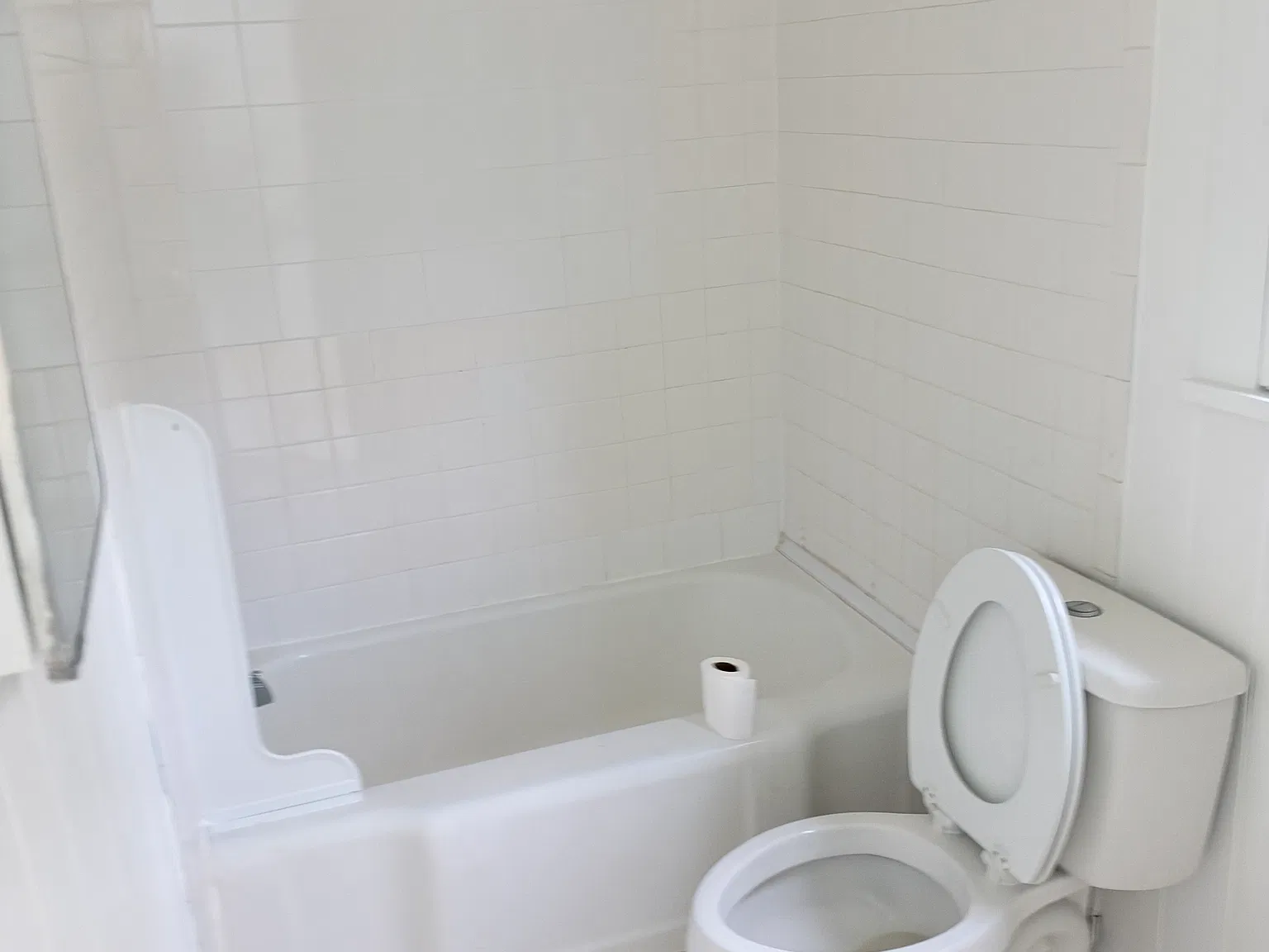 3 bed, 1036 sqft, $2,100 — Photo 3